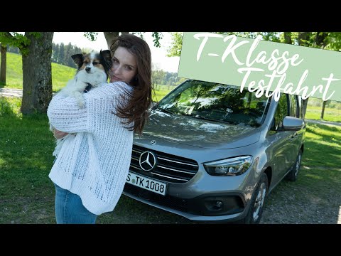 Mercedes-Benz T 180d 7G-DCT (Style) Test: Unterwegs mit Kind, Kegel und Hund 🐶 [4K] - Autophorie