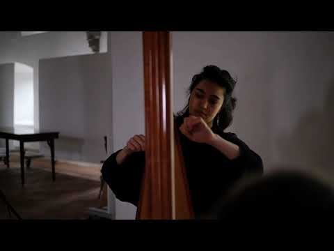 do-nawā - "ben bir göçmen kızı gördüm" (turkish traditional) - rebab and harp