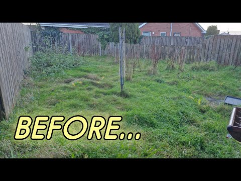 Garden Rescue: Watch Me Revitalize This Overgrown Space! || Timelapse Garden Make Over