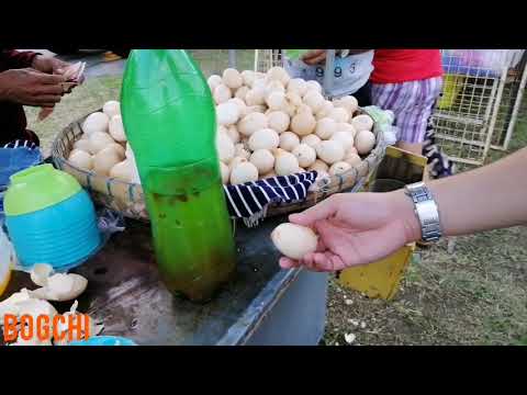 download lagu mp3 mp4 Penoy Egg, download lagu Penoy Egg gratis, unduh video klip Penoy Egg