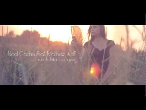 Nicol Cache ft. Mathew Wolf meets Milan Lieskovsky - Just A Dream (2013)