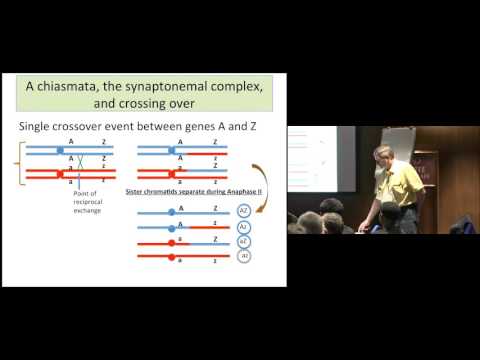 DRRW Course 15 Genetics of the Wheat Host gordon cisar 4 Match Source   Medium bitrate