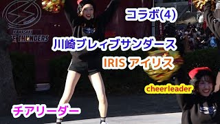 コラボ(4)川崎ブレイブサンダース IRIS アイリス チアリーダー cheerleader