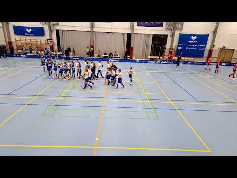 Nibacos T14 - Blue fox