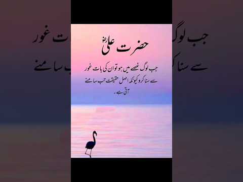 Hazrat Ali Urdu Quotes ❤️‍🩹👑💯 #religion #rajab #alihaider #mola_ali #haider #quotes #arabic #music