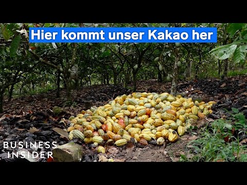 Why Ghana cannot build a chocolate industry from its own cocoa