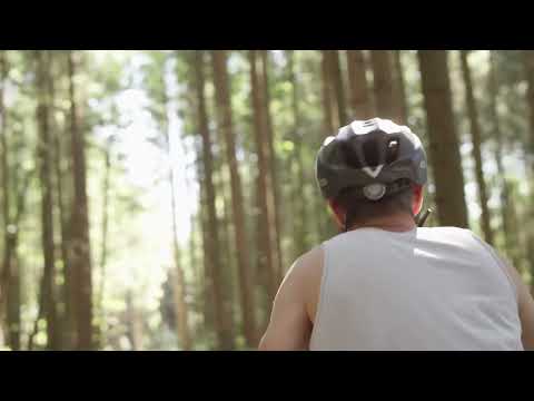 Bergsteiger Detroit 29 Zoll Mountainbike