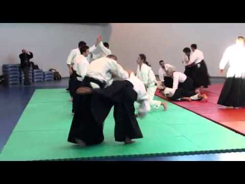 Aikido Philippe Gouttard