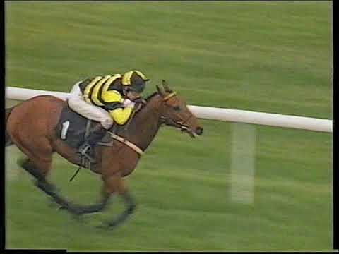 1997 Aintree Hurdle Bimsey Includes Replay