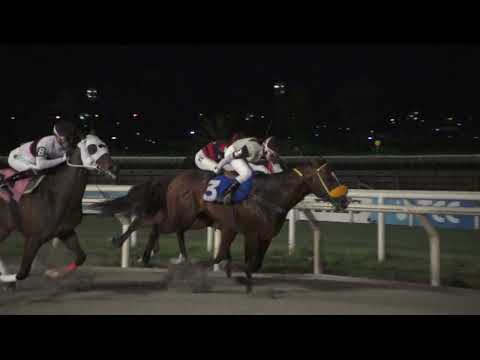 231028 c09 MONTALBAN