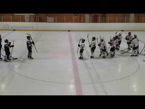 D2 AA / JYP punainen  - Jyki Tiikerit / 16.2.2020 Klo. 10.30