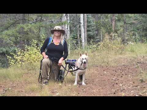 Maitri, a gunshot survivor, enjoying her best life on a Colorado trail