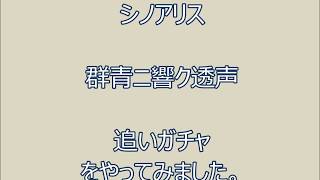 シノアリス　ラスト追いガチャ（水着ガチャ）