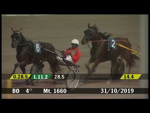 2019 10 31 | Corsa 4 | Metri 1660 | Premio Francesco Antonioli