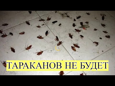 Многие и не знают, что от ТАРАКАНОВ можно избавиться так