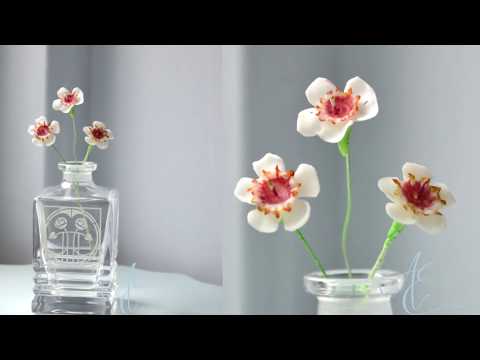 Trailer: Wax Flower Tutorial