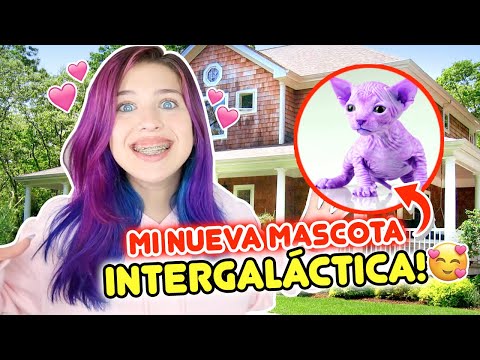 NUEVO INTEGRANTE DE LA FAMILIA STAR! 🐈 MASCOTA INTERGALACTICA!⭐ | Leyla Star 💫