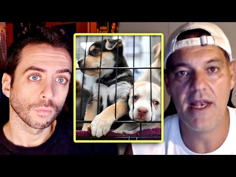 Frank Cuesta sobre las tiendas de animales y la moda de la adopción