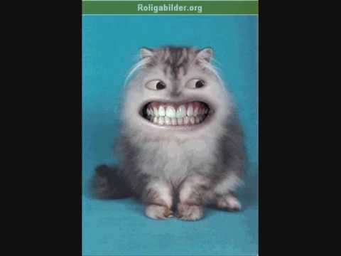 Try not to laugh or grin here