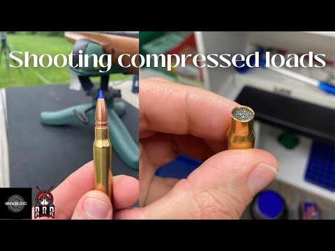 308 Winchester with Barnes 130 TTSX bullets!