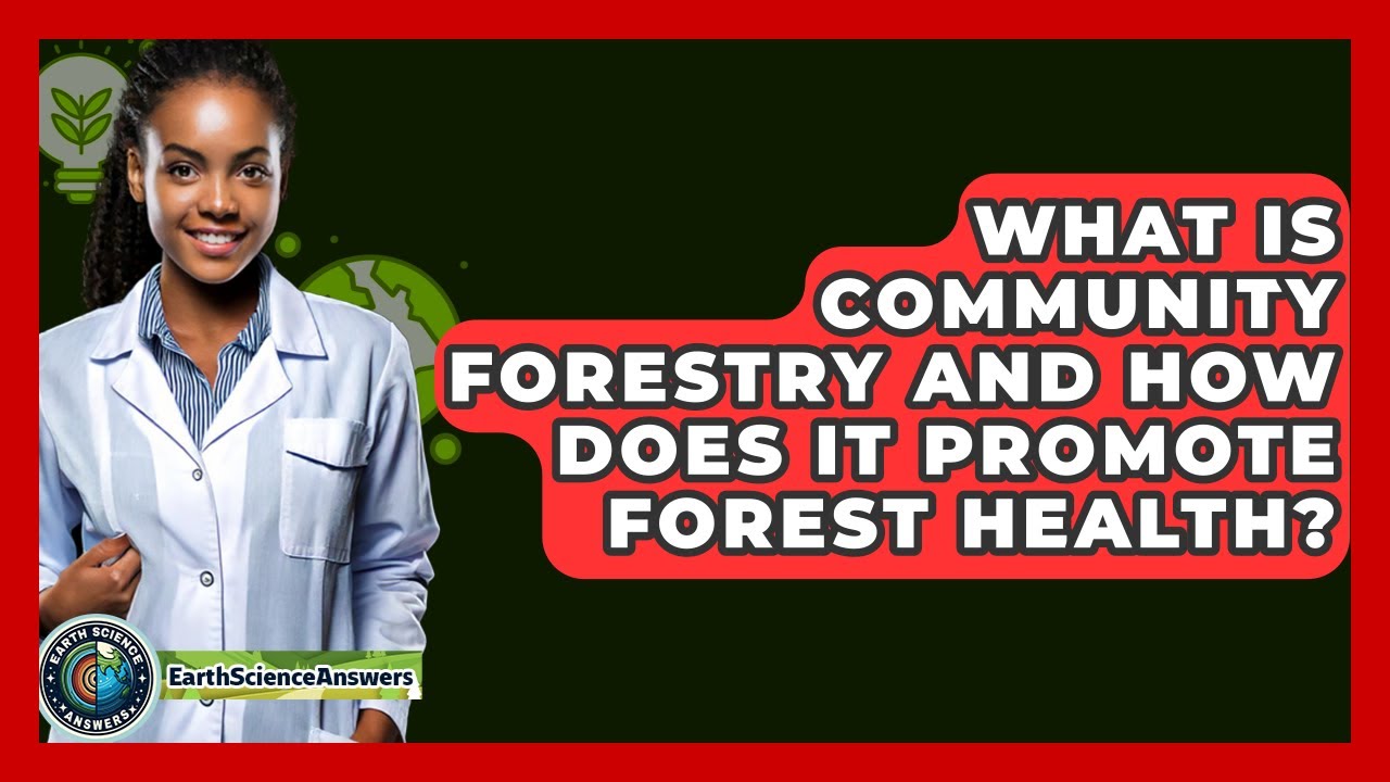 What Is Community Forestry And How Does It Promote Forest Health? - Earth Science Answers