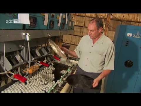 (Doku in HD) Moderne Wunder - Retrotechnik