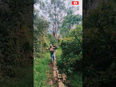 INTENTAMOS SUBIR LA MONTAÑA MAS ALTA DE CUNDINAMARCA COLOMBIA