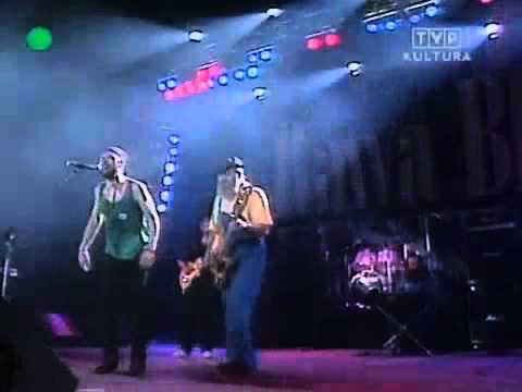 Dżem - Nieudany Skok Rawa Blues '93