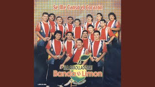Video thumbnail of "La Arrolladora Banda El Limón de René Camacho - Se Me Canso El Corazon"
