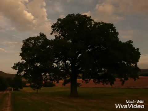 Laufen durch Rohrbach in Zierenberg