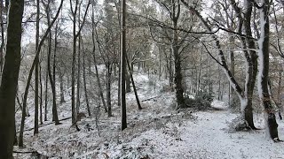 Heavy Snow Falling UK November 2021! Walking Into Snowy Woods Near Birmingham