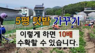 5평 텃밭 가꾸기 이렇게 하면 10배 수확할  수 있습니다. #주말농장 #텃밭 가꾸기 #옥상 텃밭 가꾸기 #…