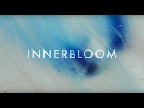RÜFÜS / RÜFÜS DU SOL ●● Innerbloom (Official Video)