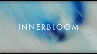Video thumbnail of "RÜFÜS DU SOL ●● Innerbloom (Official Video)"