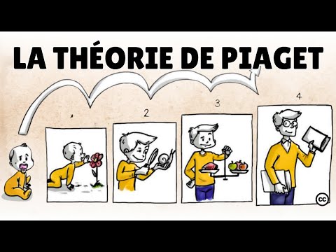 La théorie du développement cognitif de Piaget