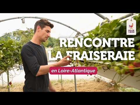 A la rencontre des producteurs- La Fraiseraie