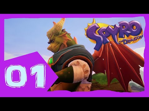Spyro Reignited Trilogy: Let's Play Spyro 1 (120%) (Part 1) - The Adventure Begins......
