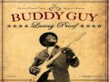 Buddy Guy - Everybody's Got to Go