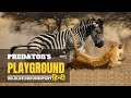Predator's Playground, अफ़्रीका [2023] हिन्दी डॉक्यूमेंट्री | Wild