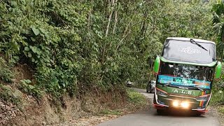 Download lagu DJ CANTIK MANIS... ALS 06 SI RAJA OLENG DI RIMBO PANTI #Shorts mp3 Download lagu DJ CANTIK MANIS... ALS 06 SI RAJA OLENG DI RIMBO PANTI #Shorts mp3