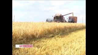 2015-07-31 г. Брест.Первые тысячники в Брестской области в СПК «Остромечево». Телекомпания Буг-ТВ.