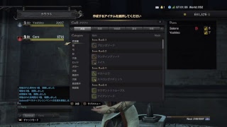ddon暇やねん...。ポーンレベル上げ垂れ流し