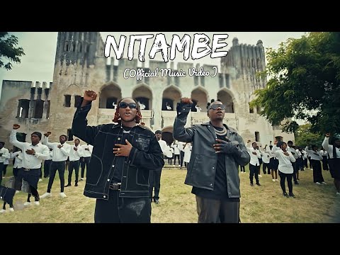 Rayvanny  ft  Dayoo _ Nitambe ( official Music Video)