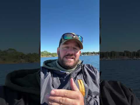 You guys Were Right AGAIN… #shortsvideo #congress #langley #goa #shortsfeed #atf #bondi #scotus Thumbnail