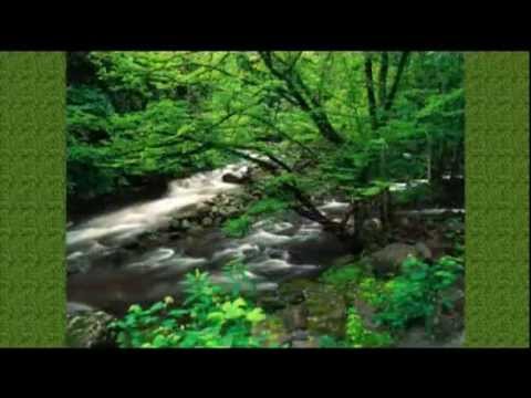 Sonic Dream Collective - Take me back