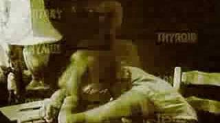 The Divine Comedy - To Die A Virgin (Alice Teeple Edit)