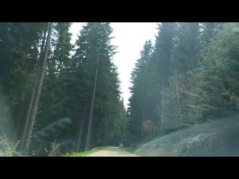 Drum Nisipitu-Costileva