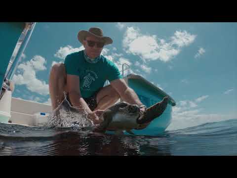 CERTINA Sea Turtle Conservancy 60th Anniversary