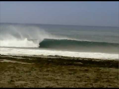 Frootful - September