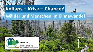 Kollaps – Krise – Chance? Wälder und Menschen im Klimawandel
